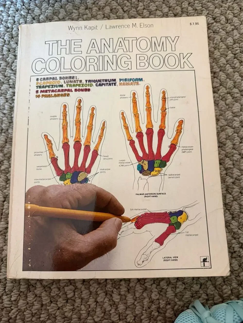 The Anatomy Coloring Book by Wynn Kapit and Lawrence M. Elson